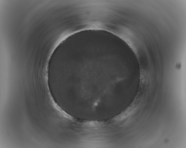 X0000097620950200803071507