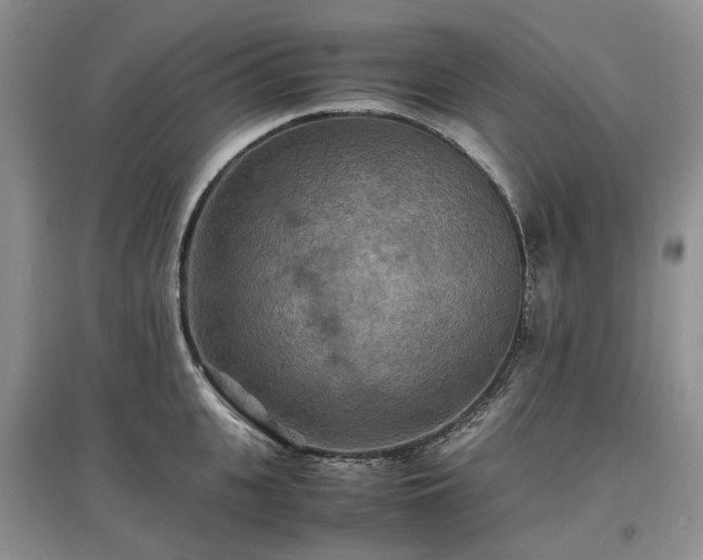 X0000097620951200803071507
