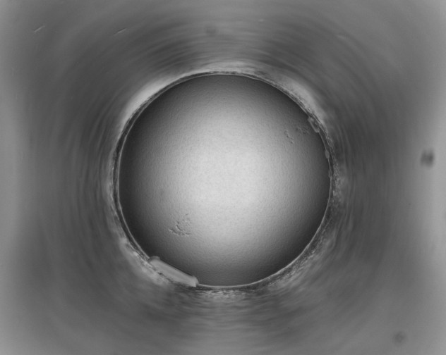X0000097620952200803071507