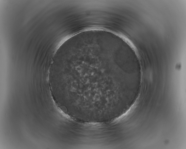 X0000097620953200803071507