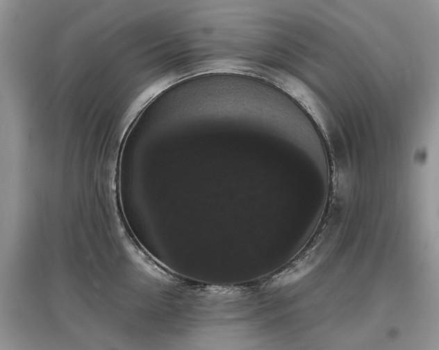 X0000097620954200803071507