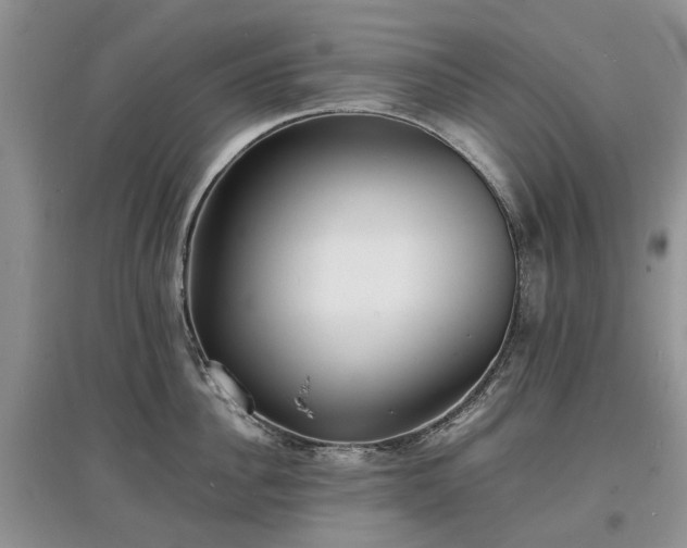 X0000097620956200803071507