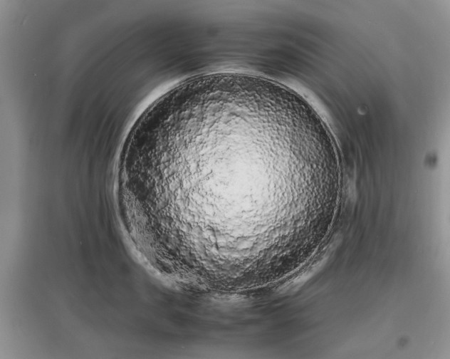 X0000097620957200803071507