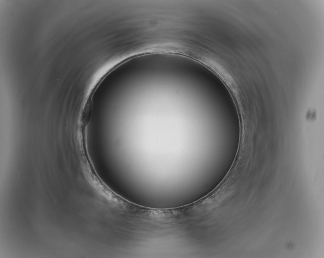 X0000097620960200803071507