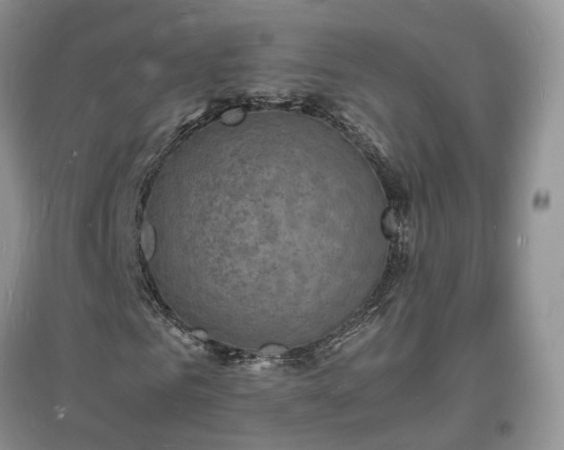 X0000097620961200803071507