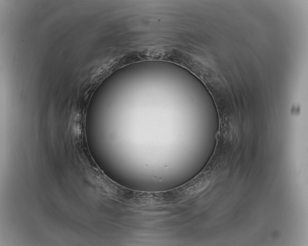 X0000097620962200803071507