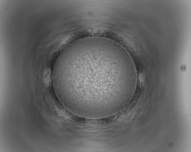 X0000097620963200803071507