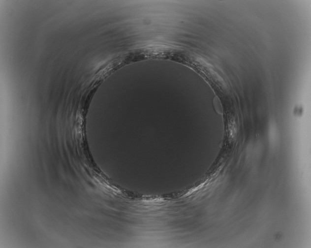 X0000097620964200803071507