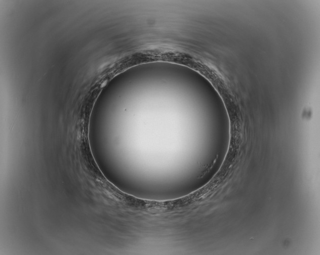 X0000097620965200803071507