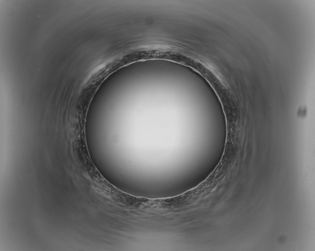 X0000097620967200803071507