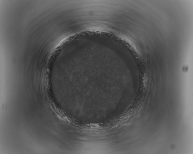 X0000097620968200803071507