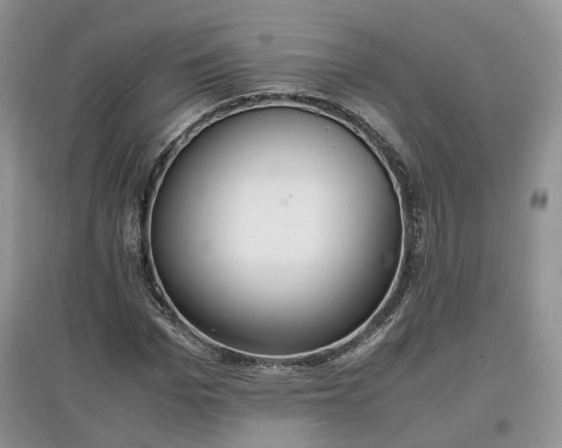 X0000097620969200803071507