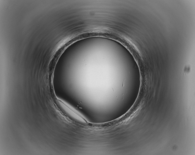 X0000097620970200803071506