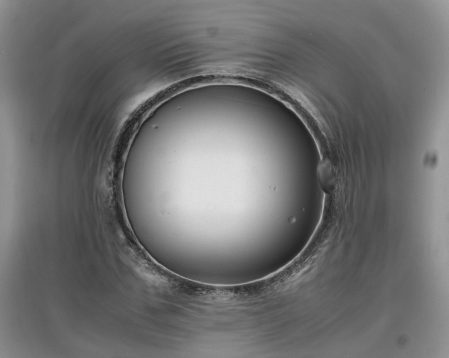 X0000097620971200803071506