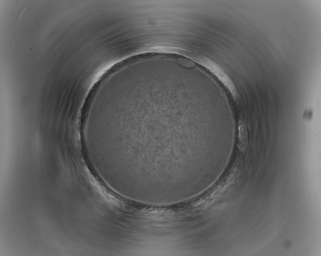 X0000097620972200803071506
