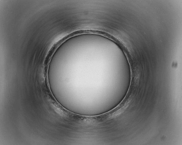 X0000097620974200803071506