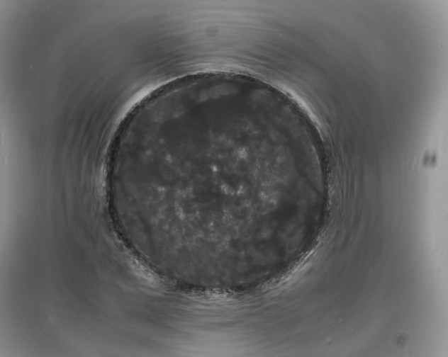 X0000097620975200803071506