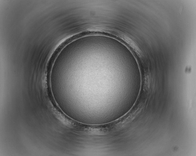X0000097620976200803071506