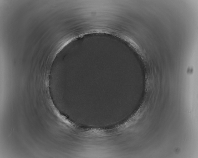 X0000097620977200803071506