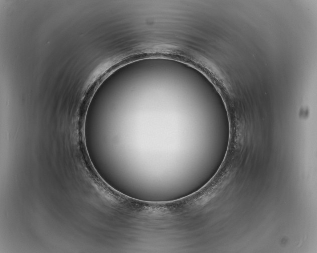 X0000097620978200803071506