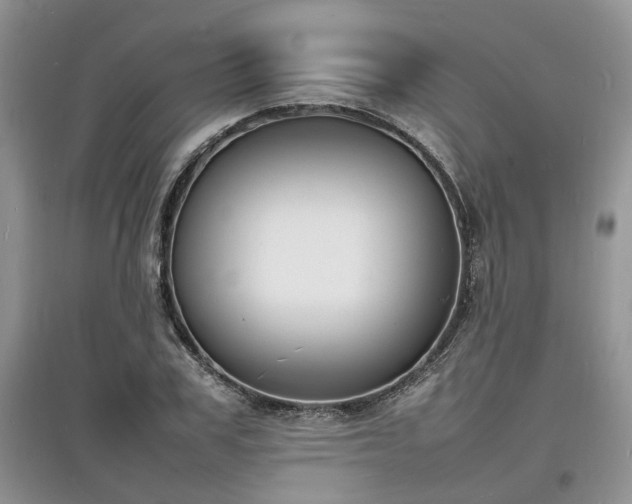 X0000097620979200803071506