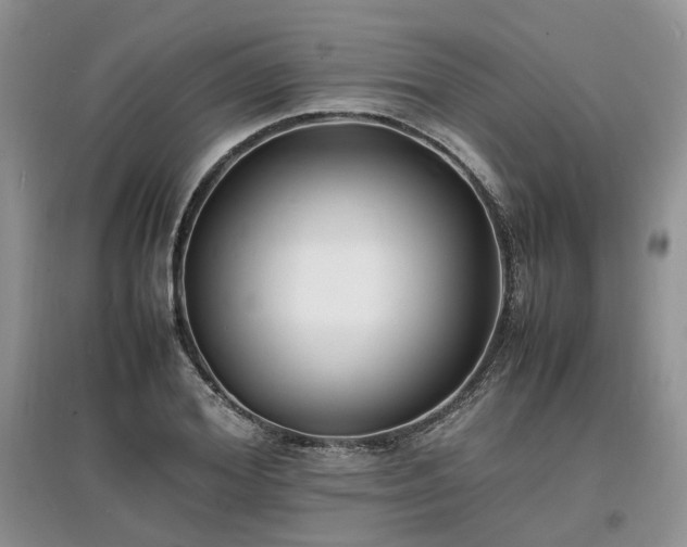 X0000097620980200803071506