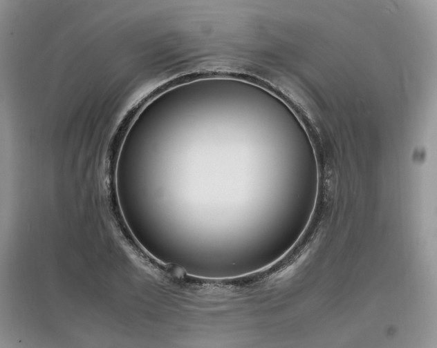 X0000097620981200803071506