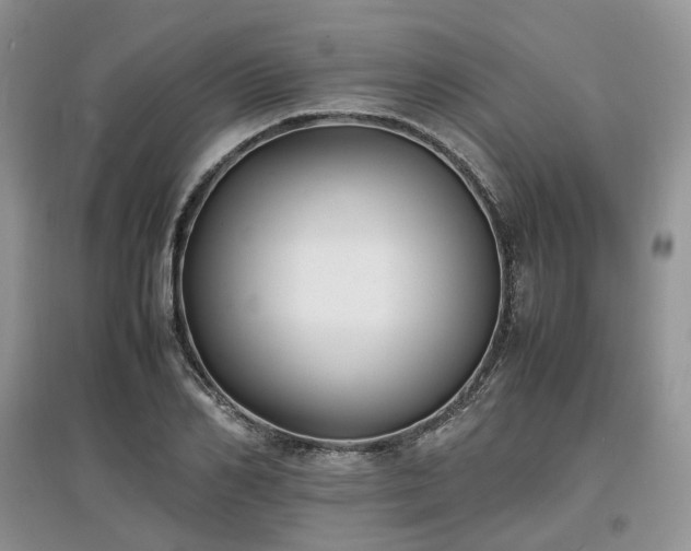 X0000097620982200803071506