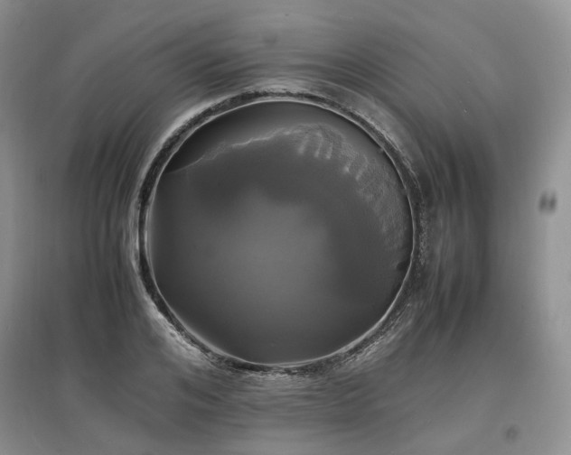 X0000097620984200803071506