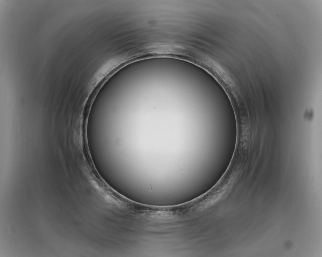 X0000097620986200803071506