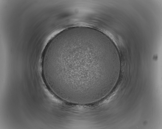 X0000097620987200803071506