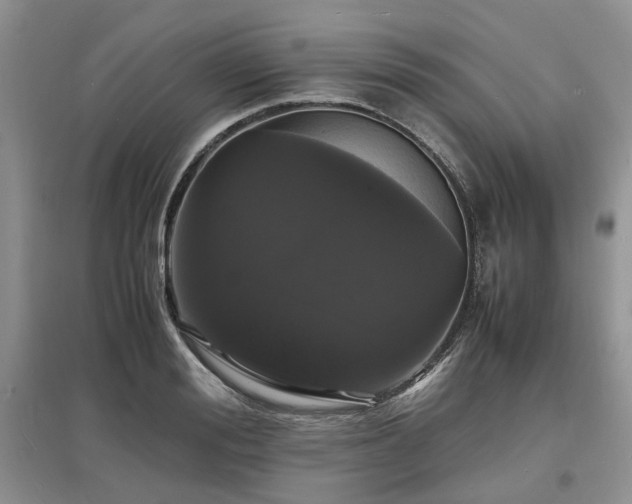 X0000097620988200803071506