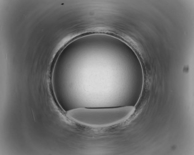 X0000097620989200803071506