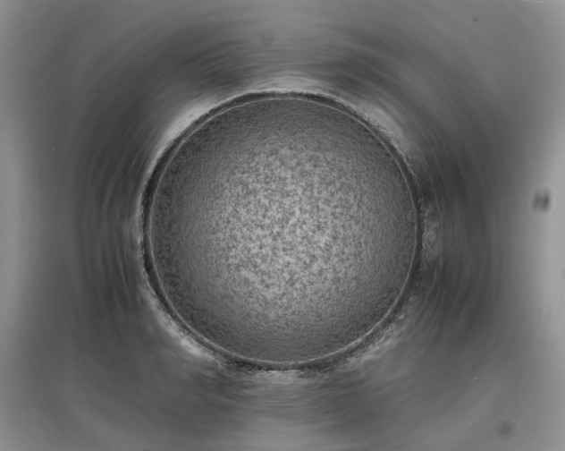 X0000097620990200803071506