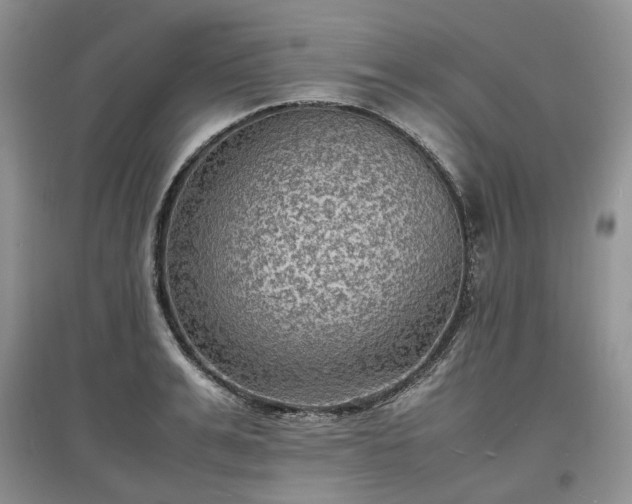 X0000097620991200803071506