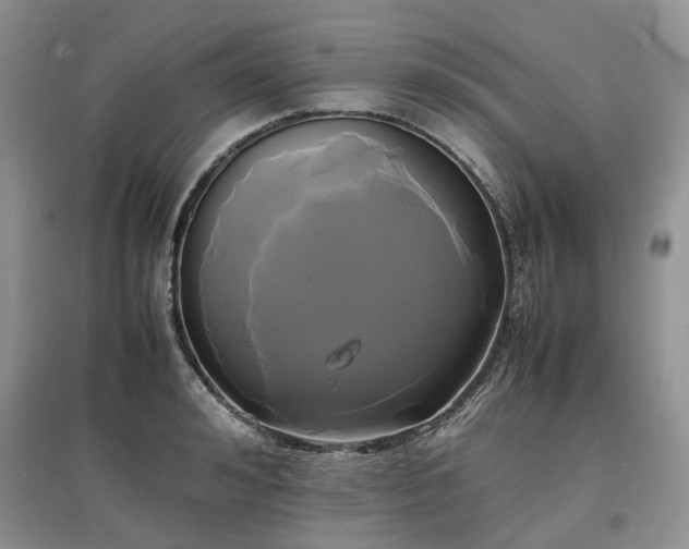 X0000097620992200803071506