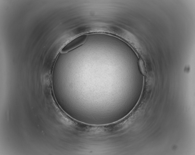 X0000097620993200803071506