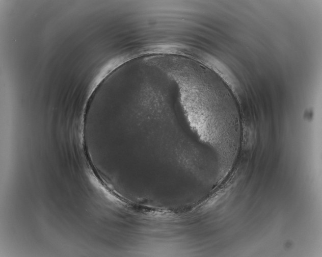 X0000097620994200803071506
