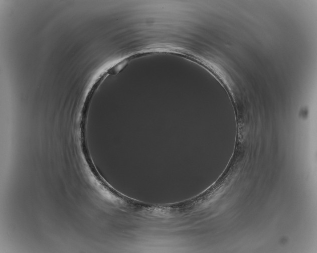 X0000097620995200803071506
