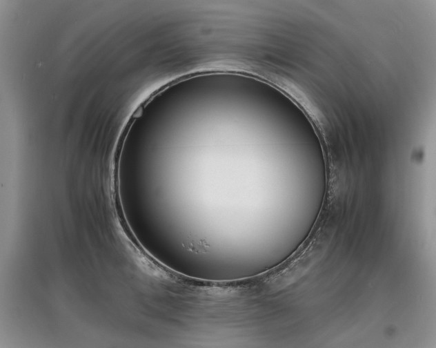 X0000097620996200803071506