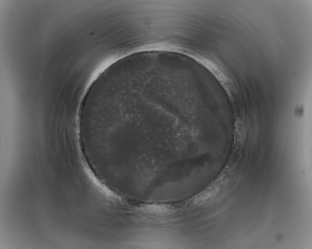 X0000097620998200803071506
