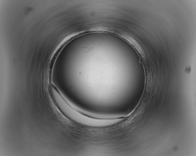 X0000097621000200803071506