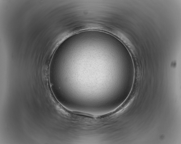X0000097621001200803071506