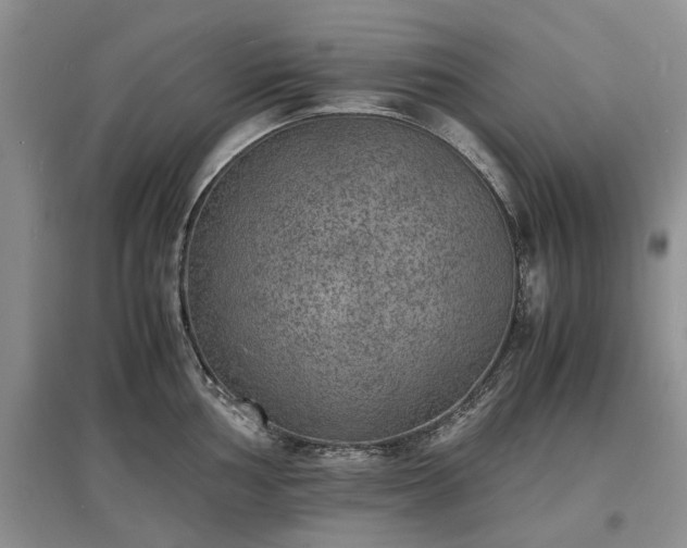 X0000097621002200803071506