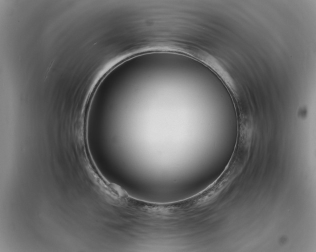 X0000097621004200803071506