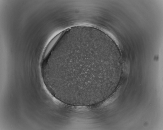 X0000097621007200803071506