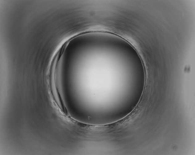 X0000097621008200803071506