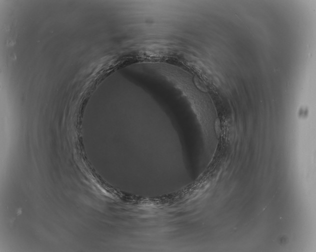 X0000097621009200803071505