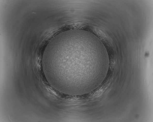 X0000097621010200803071505