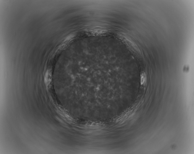 X0000097621011200803071505
